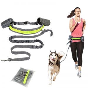 Hands Free Dog's Running Leash