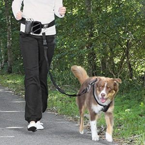 Dog's Running Nylon Leash